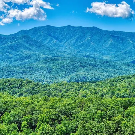A Mountain Perch- 1089 Of Free Attraction Tickets For Each Paid Day, Dollywood And More!